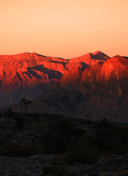 Explore Oman with Majan Views Tourism: Complete Travel Services & Activity