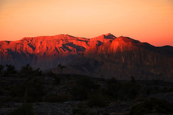 Jabal Akhdar Mountain Experience
