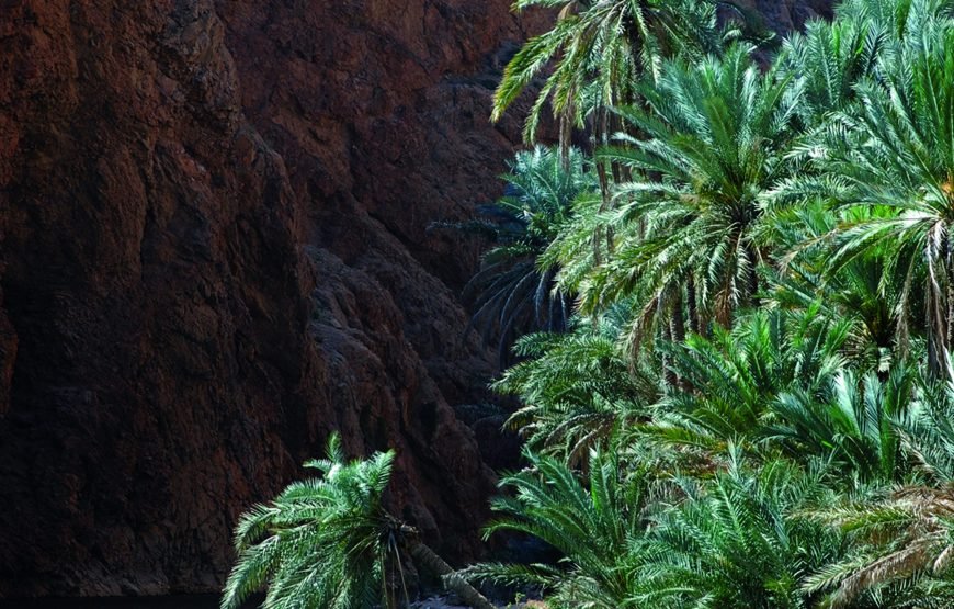Omani Adventure – 10 Days Tour