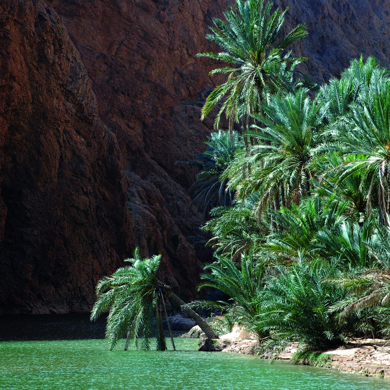 Sur - Wadi Shab –Fins Beach