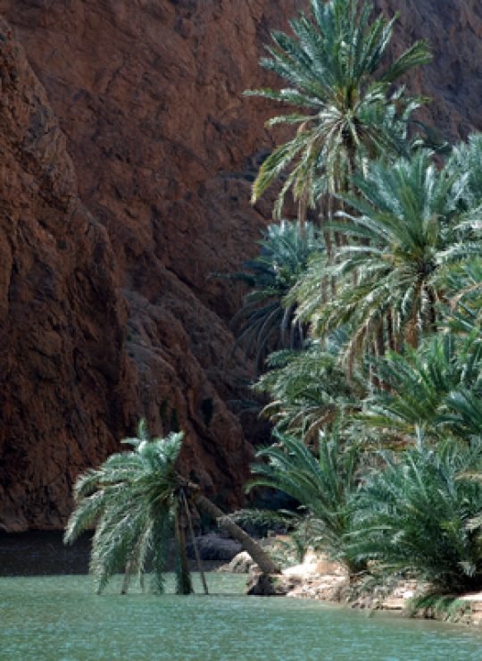 Explore Oman with Majan Views Tourism: Complete Travel Services & Activity