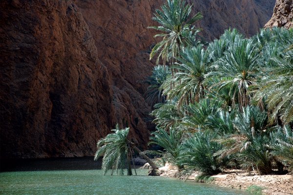 Sur-Wadi Shab - Muscat