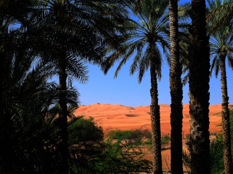 Oman Escape – 5 Days Tour