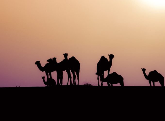 Wadi Bani Khalid & Wahiba Sands