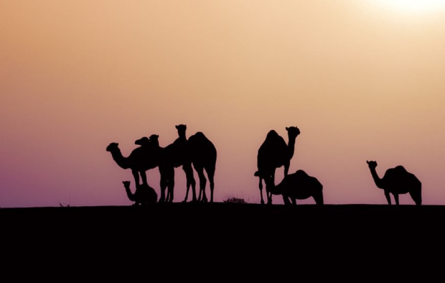 Essence of Oman – 6 Days Tour