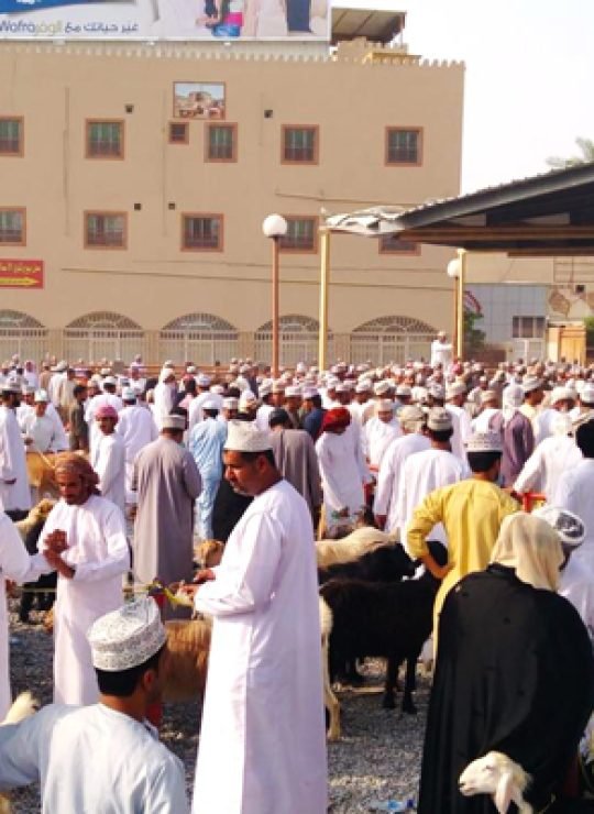 Explore Oman with Majan Views Tourism: Complete Travel Services & Activity