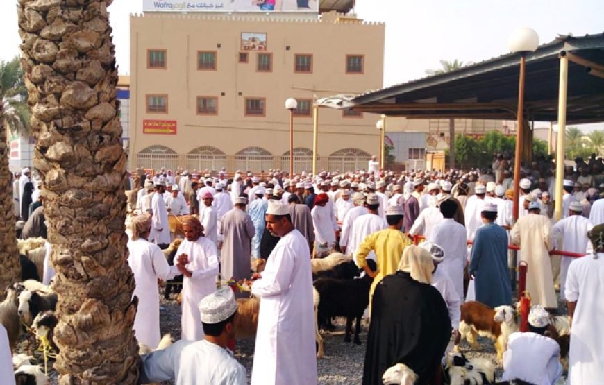 Nizwa & Jebel Akhdar Tour